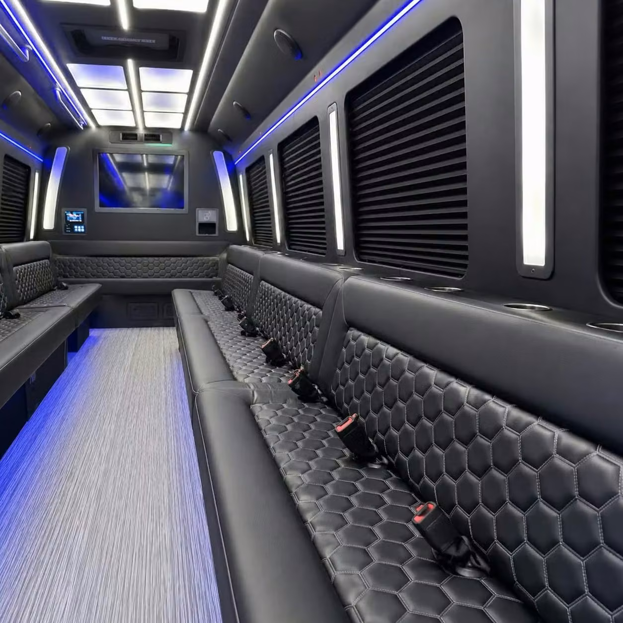 wheat ridge party bus party lighting